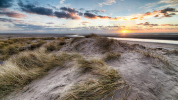 Przeszczep włosów w Turcji – czemu warto się zdecydować